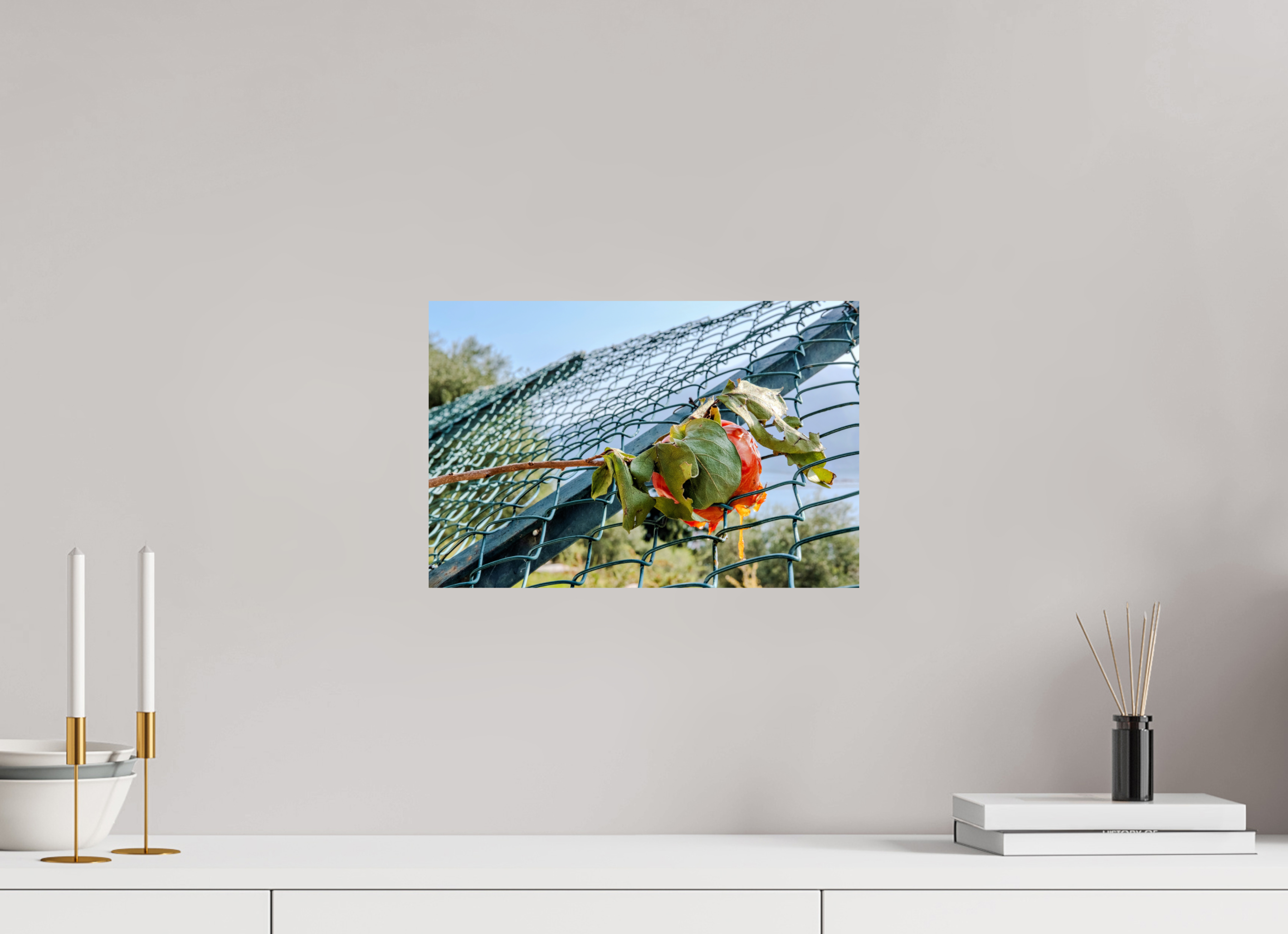 15 x 10″, Print Only Persimmon on the Greenway