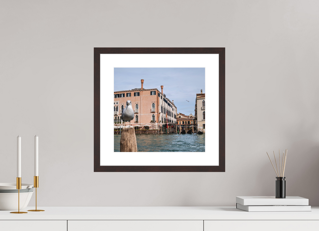 12.9 x 12″, Brown Frame Venice Pigeon