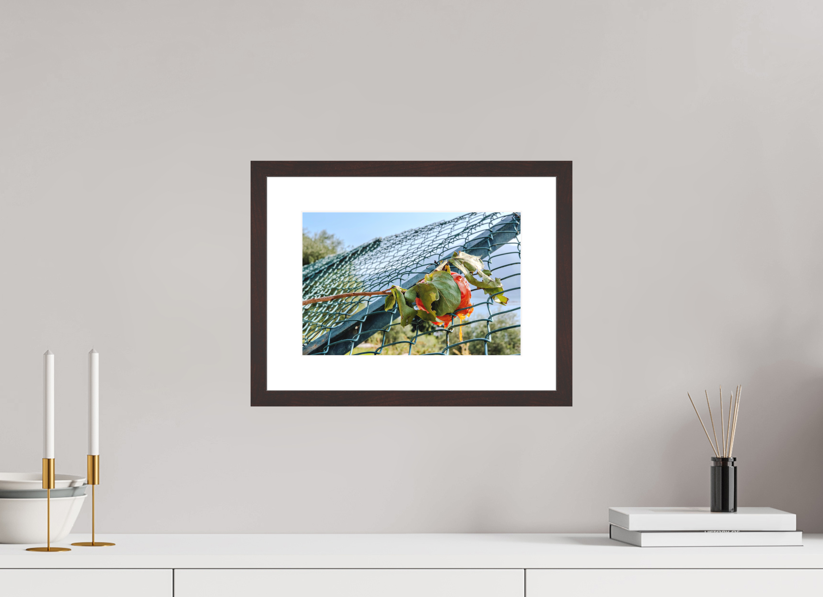 12 x 8″, Brown Frame Persimmon on the Greenway