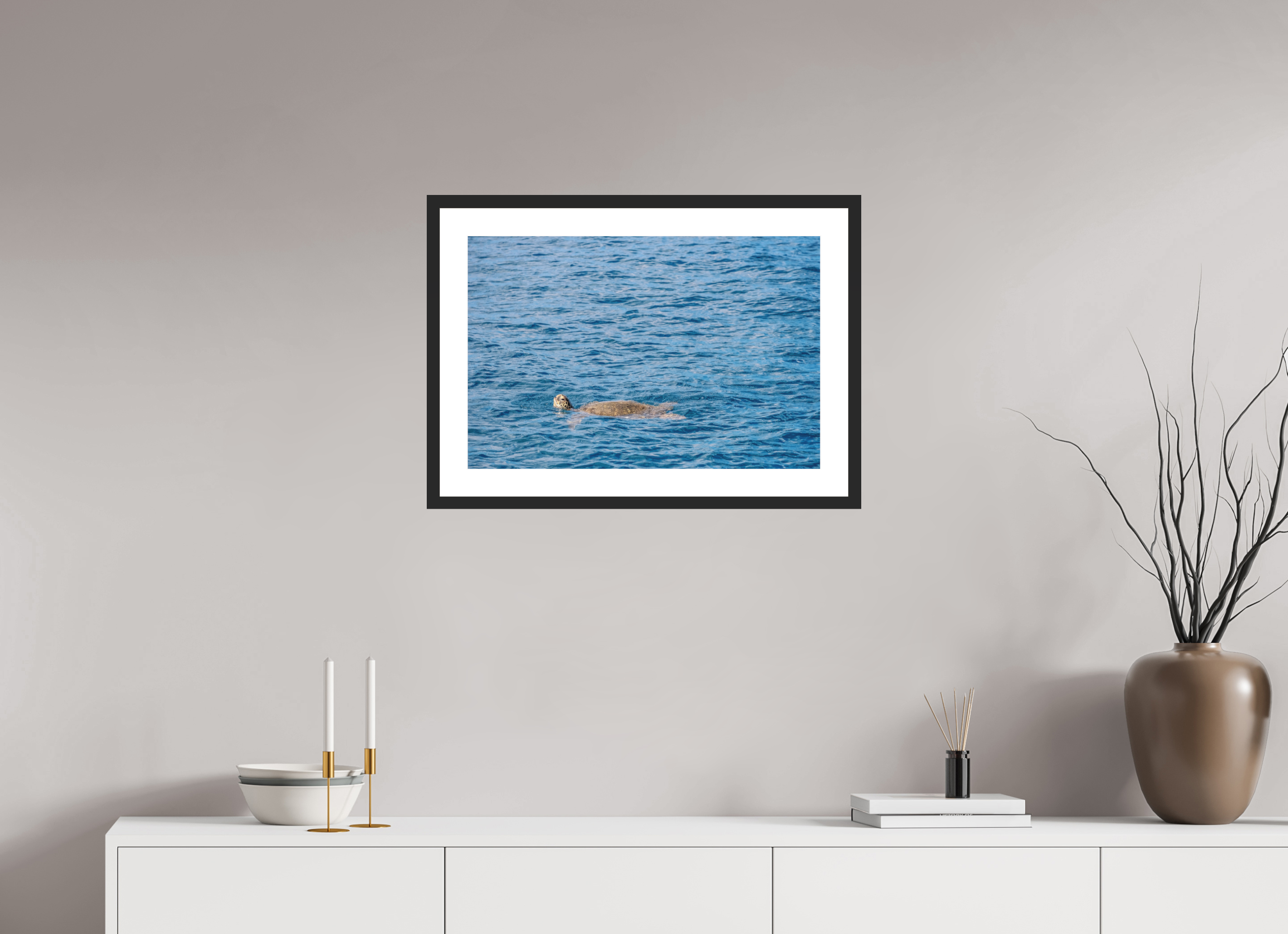 24 x 16″, Black Matte Frame Mamala Bay Turtle