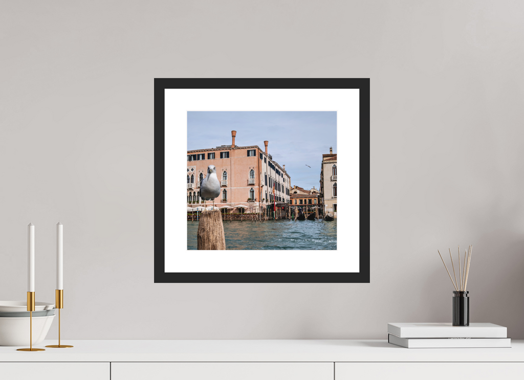 12.9 x 12″, Black Matte Frame Venice Pigeon