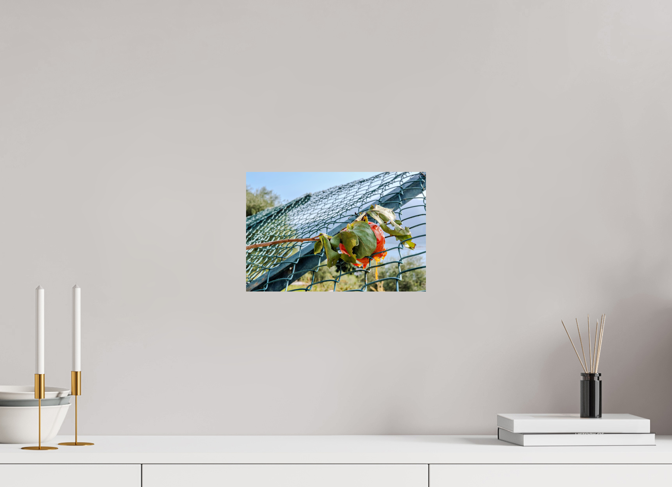 12 x 8″, Print Only Persimmon on the Greenway