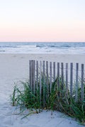 Beach Fence