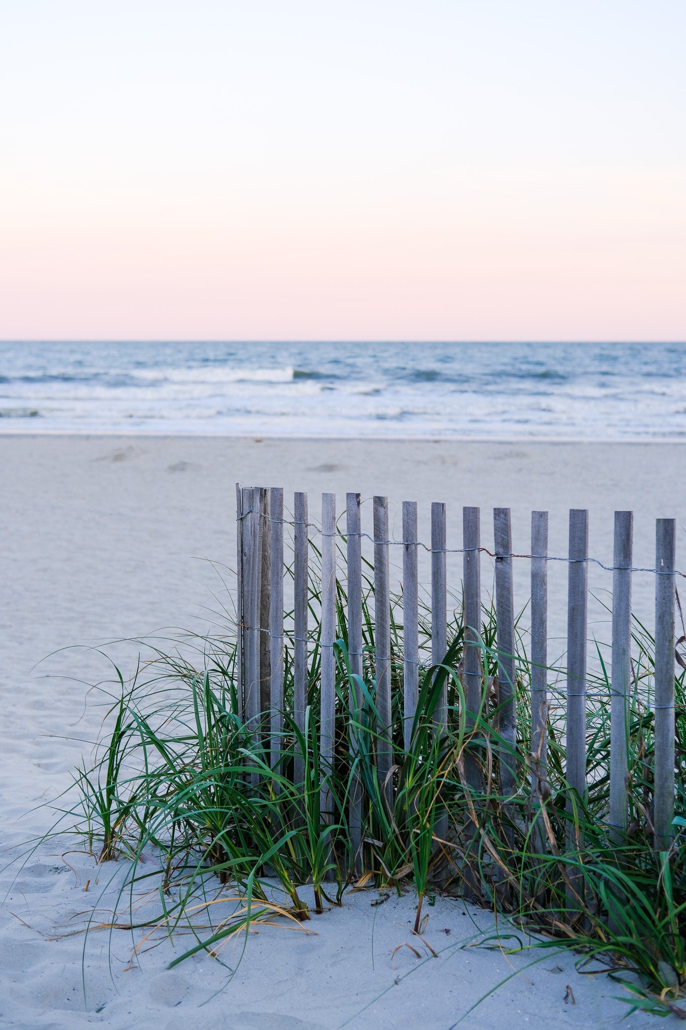Beach Fence