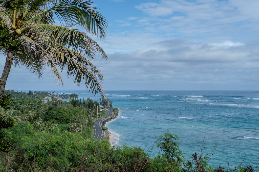 Kualoa Ranch Views