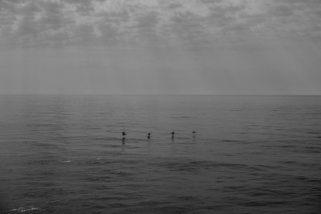 Main image In Flight