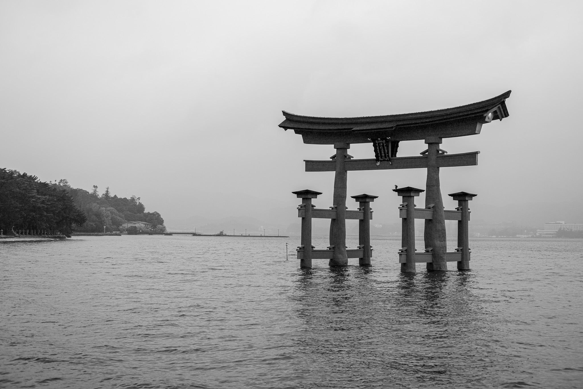 Miyajima Torii