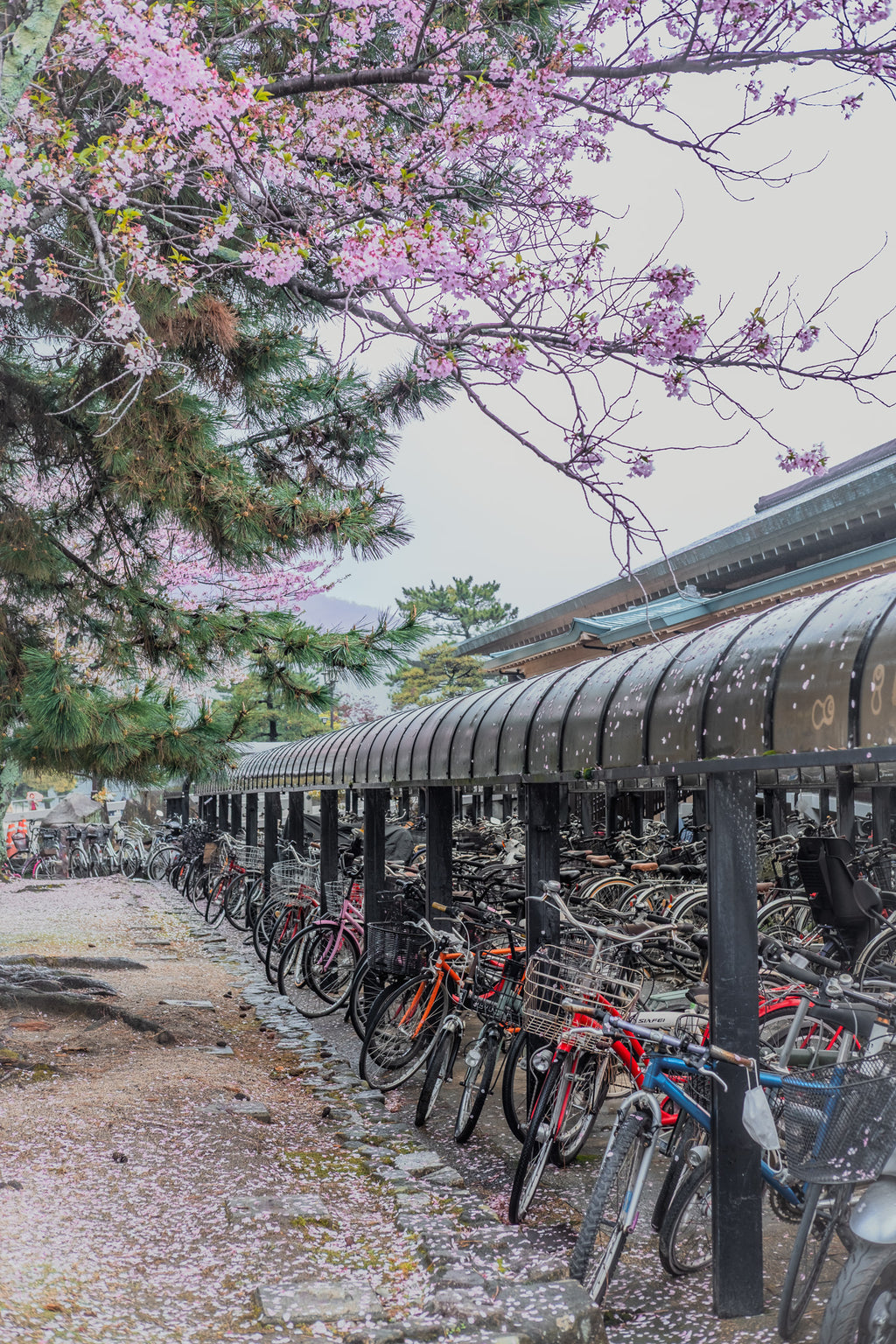 Main image Spring Parking