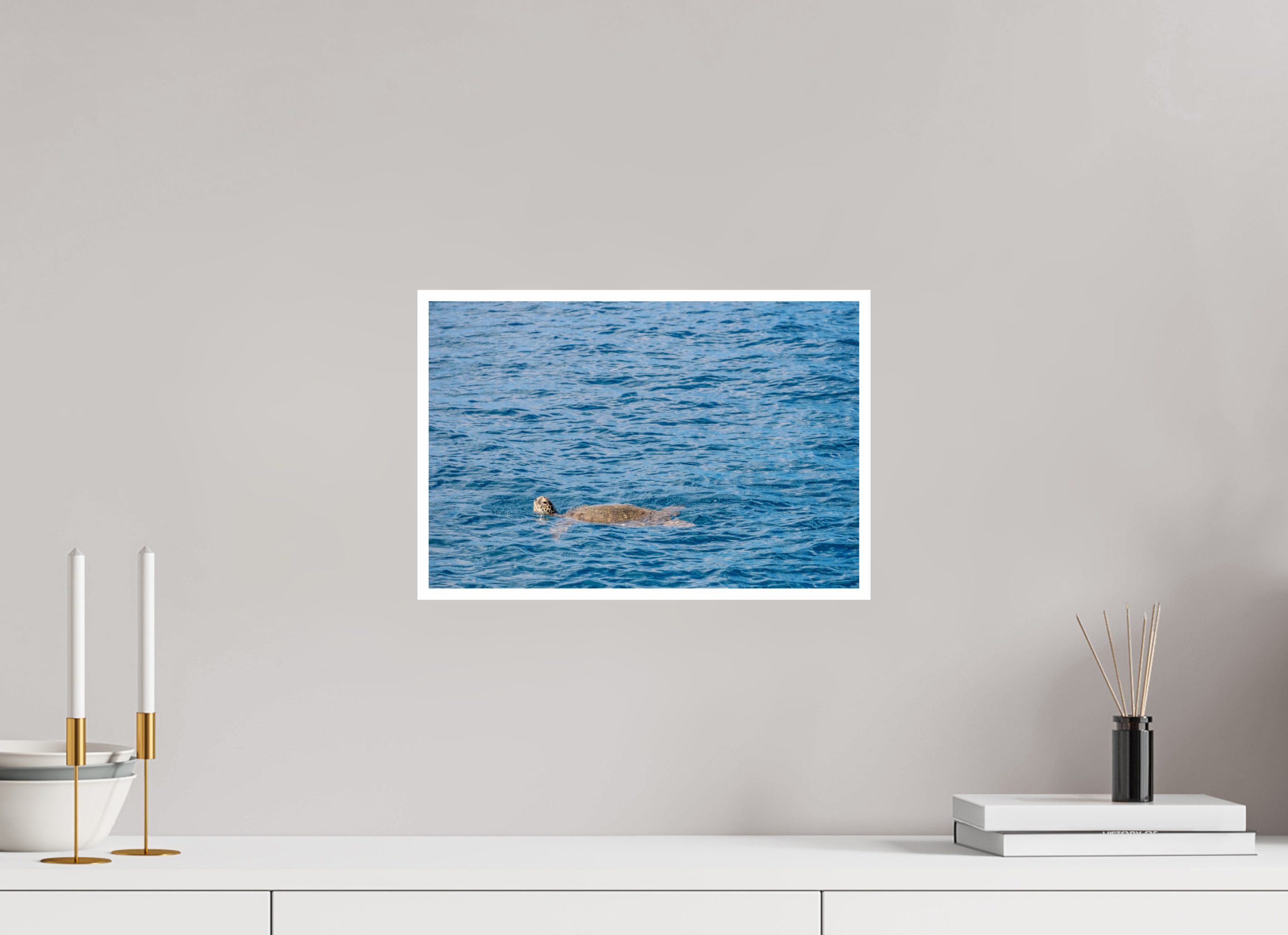 15 x 10″, Print Only Mamala Bay Turtle