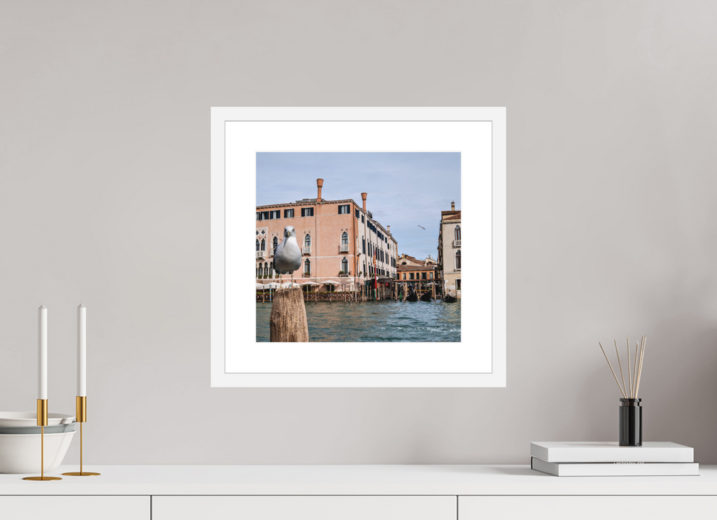 12.9 x 12″, White Frame Venice Pigeon