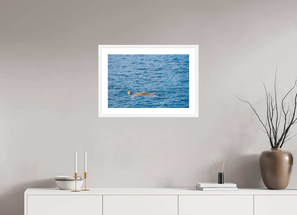 24 x 16″, White Frame Mamala Bay Turtle