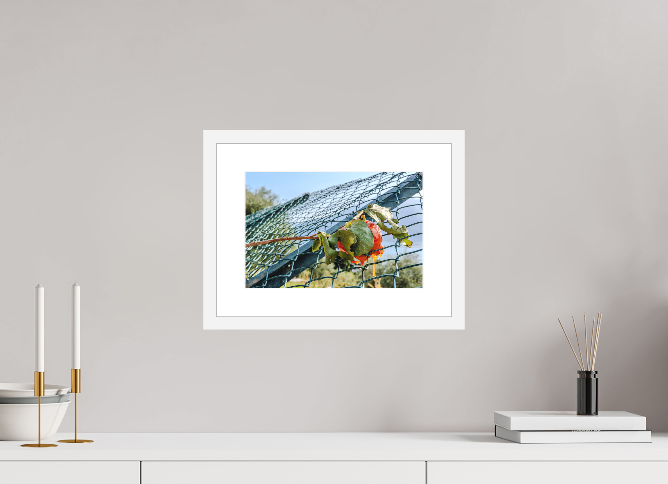 12 x 8″, White Frame Persimmon on the Greenway